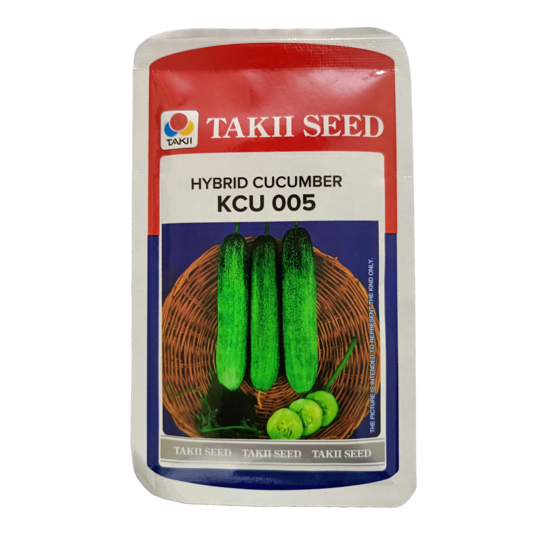 KCU - 005 Cucumber Seeds - Takii | F1 Hybrid | Buy Online - DesiKheti