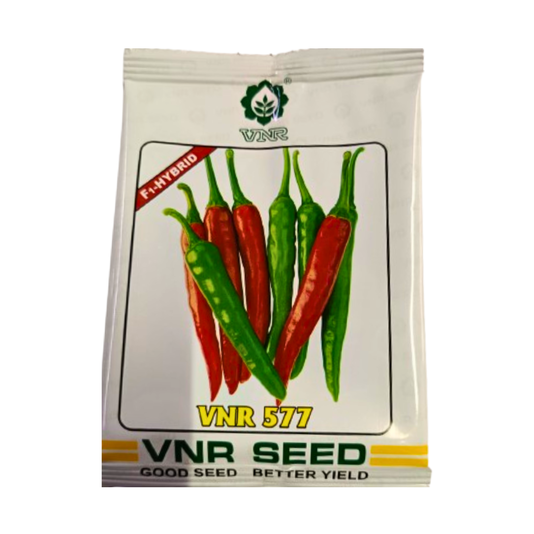 VNR - 577 Chilli Seeds | F1 Hybrid Mirchi | Buy Online at Best Price