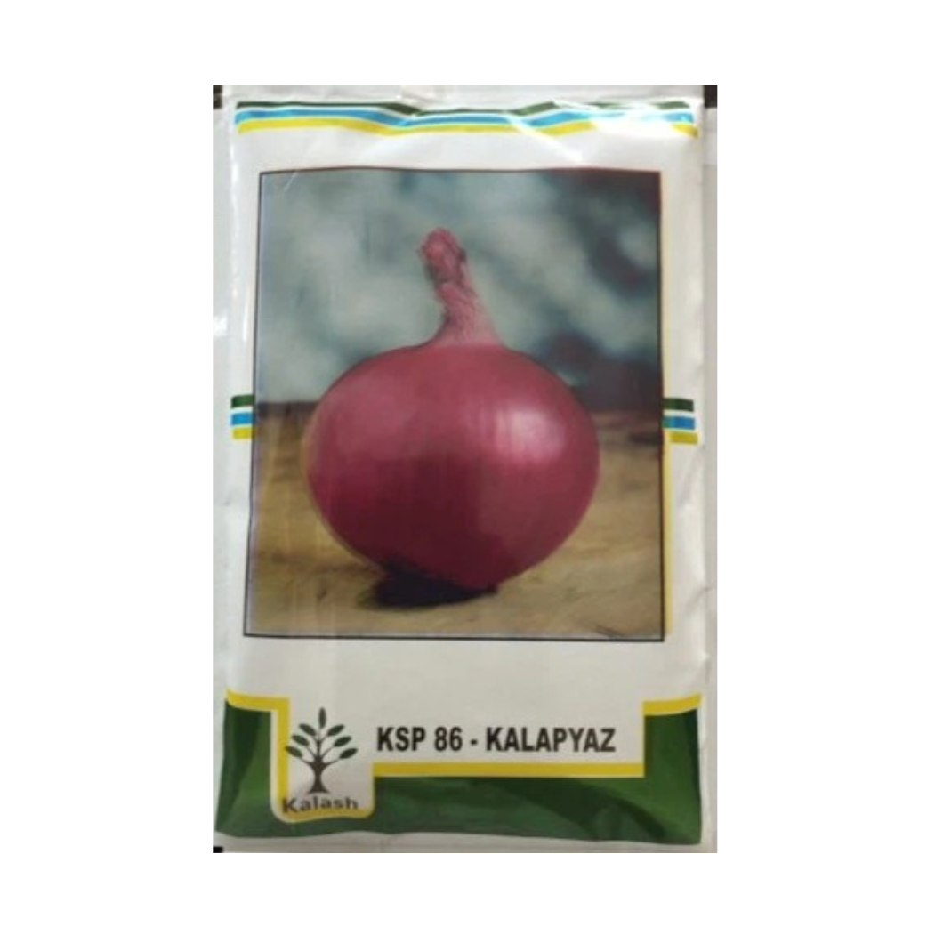 Kala Pyaz KSP-86 Onion - Kalash | F1 Hybrid | Buy Online at Best Price