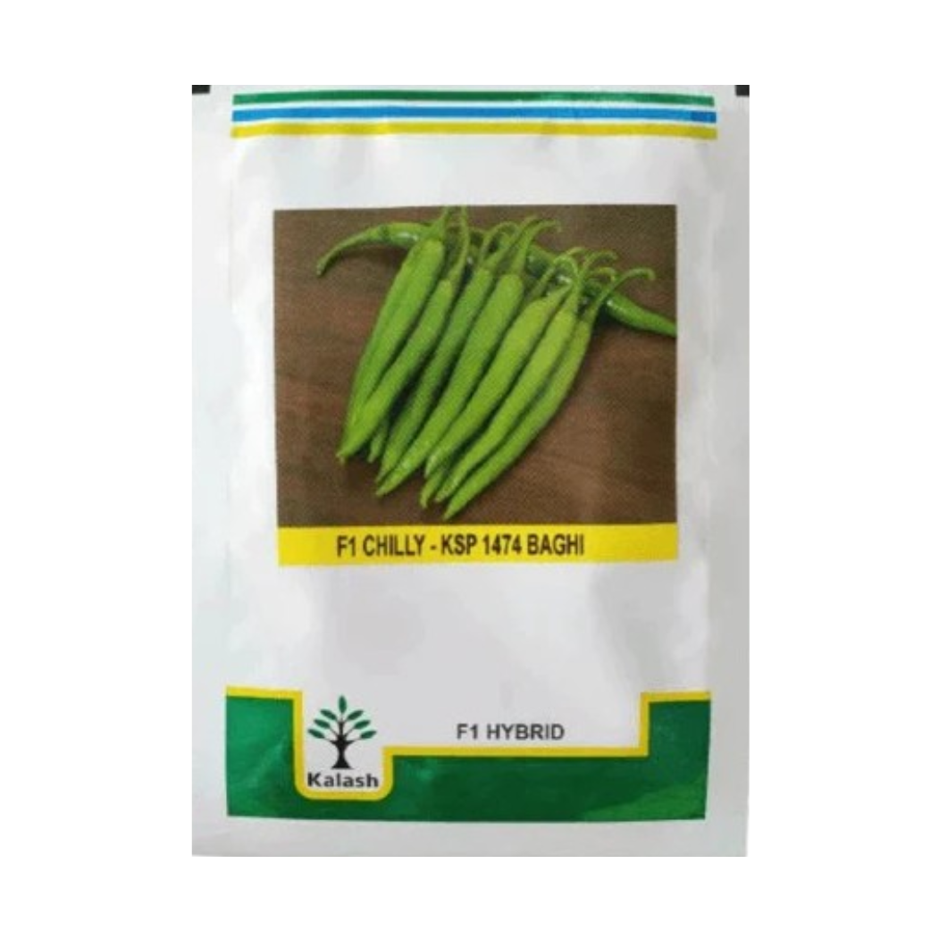 KSP-1474 Baghi Chilli Seeds - Kalash | F1 Hybrid | Buy at Best Price