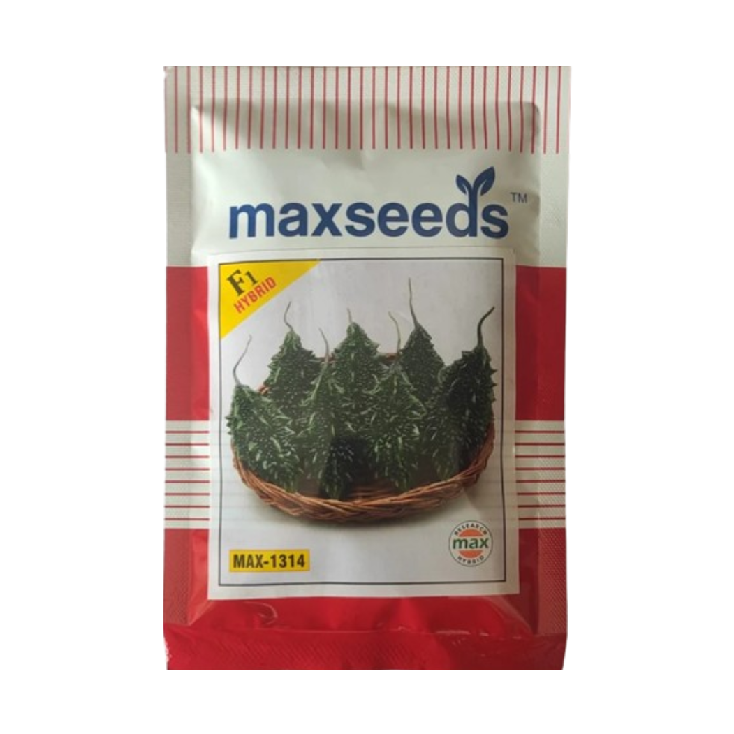 Max-1314  Bitter Gourd Seeds | F1 Hybrid | Buy Online at Best Price