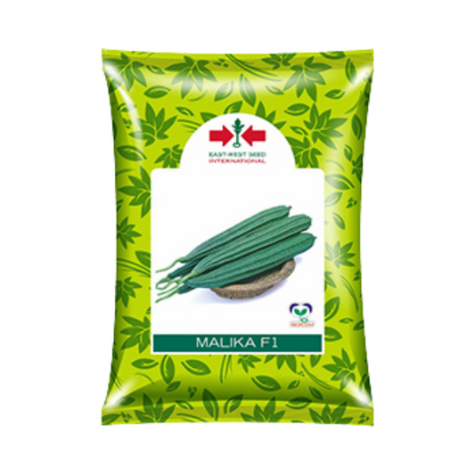 Malika Ridge Gourd Seeds - East West | F1 Hybrid | Buy Online at Best Price