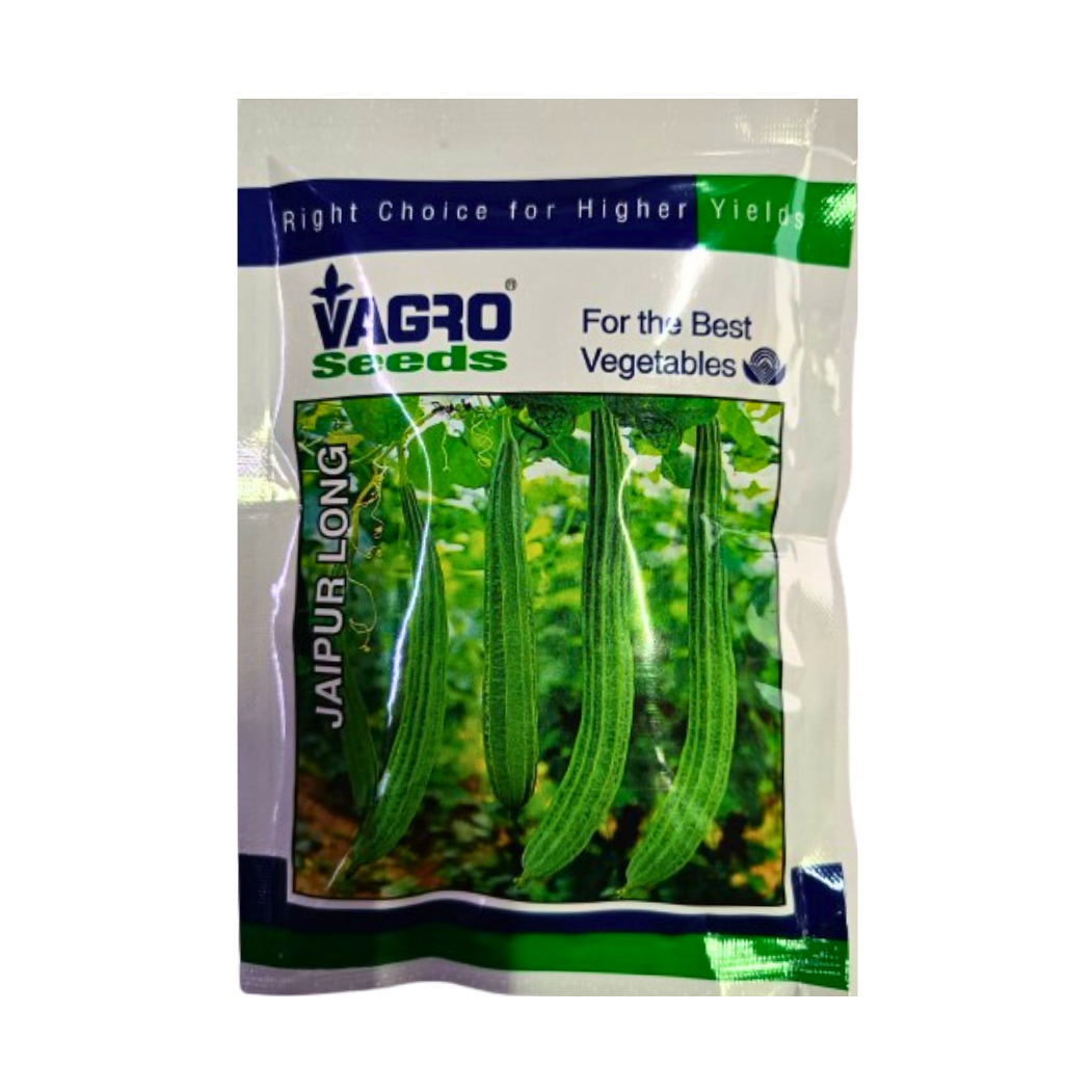 Jaipur Long Ridge Gourd Seeds - Vagro | F1 Hybrid | Buy Online at Best Price