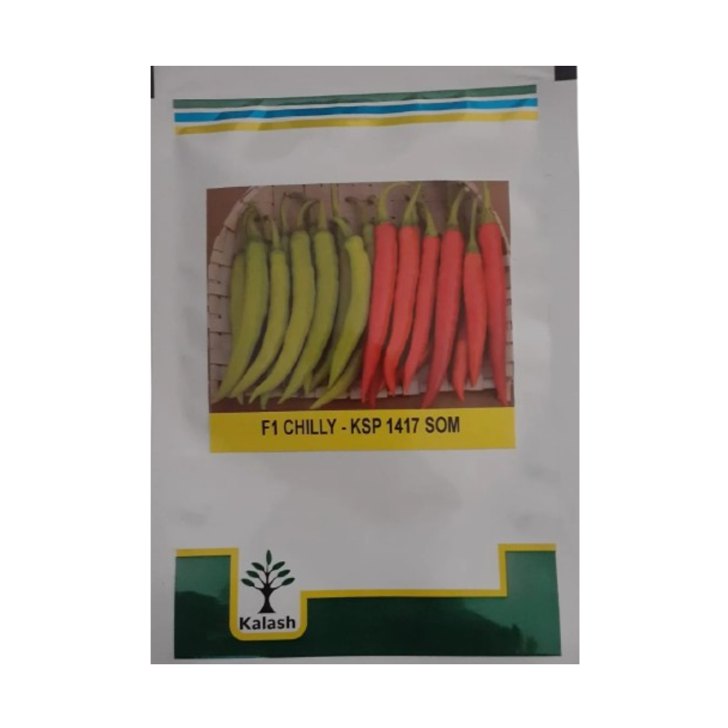 KSP-1417 Som Chilli Seeds - Kalash | F1 Hybrid | Buy Online at Best Price