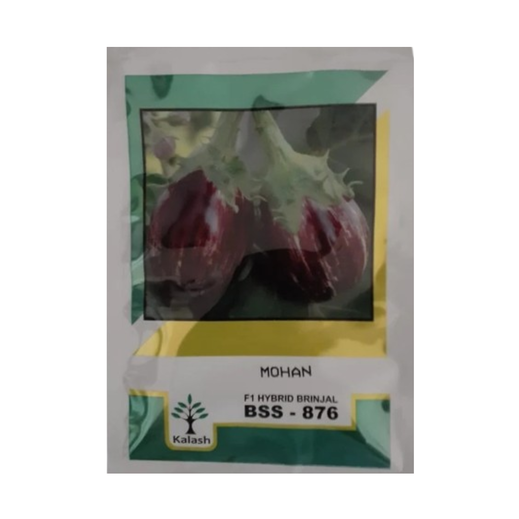 BSS-876 Mohan Brinjal Seeds - Kalash | F1 Hybrid | Buy Online at Best Price