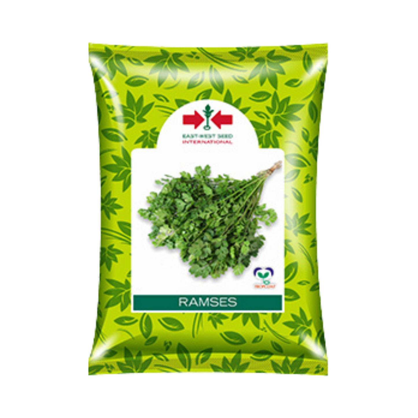 Ramses Coriander Seeds - East West | F1 Hybrid | Buy Online at Best Price