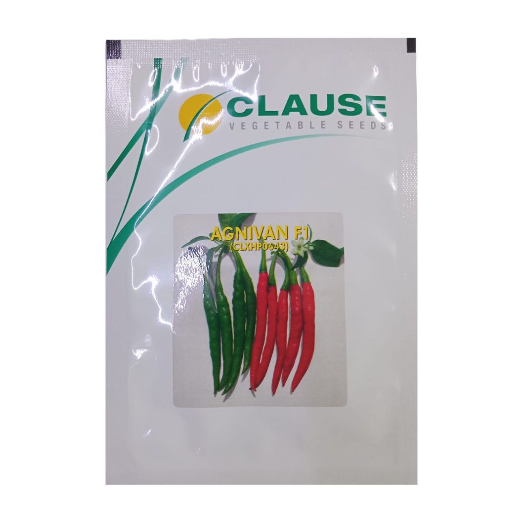 Agnivan Chilli Seeds - HM Clause | F1 Hybrid | Buy Online - DesiKheti