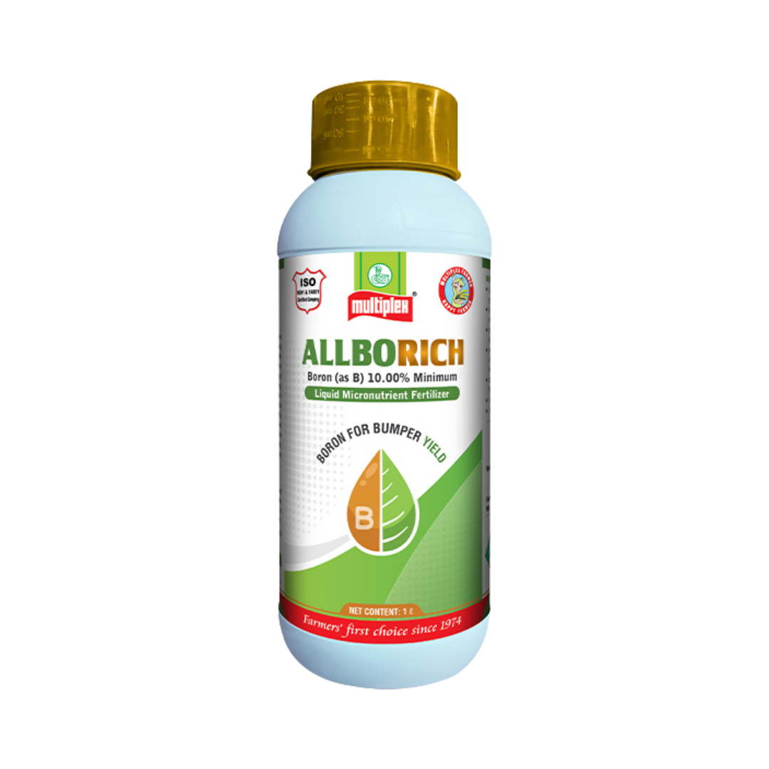 Allborich - Multiplex | Buy Online at Best Price - DesiKheti