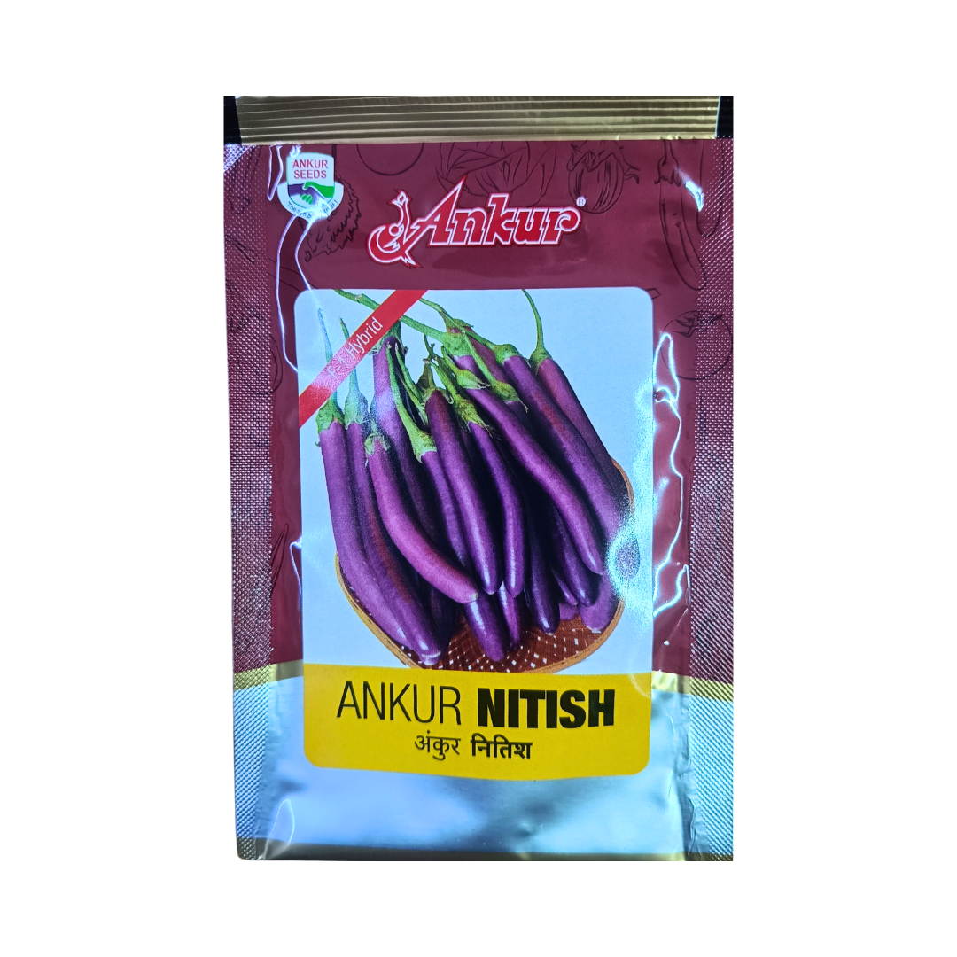 Nitish Brinjal Seeds - Ankur | Buy Online at Best Price – Desikheti