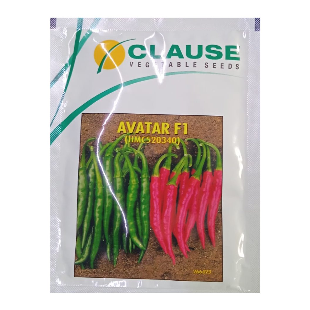 Avatar F1 Chilli Seeds - HM Clause | F1 Hybrid | Buy Online Now