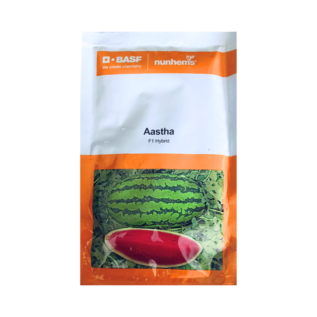 Aastha Watermelon Seeds - Nunhems | F1 Hybrid | Buy Online at Best Price