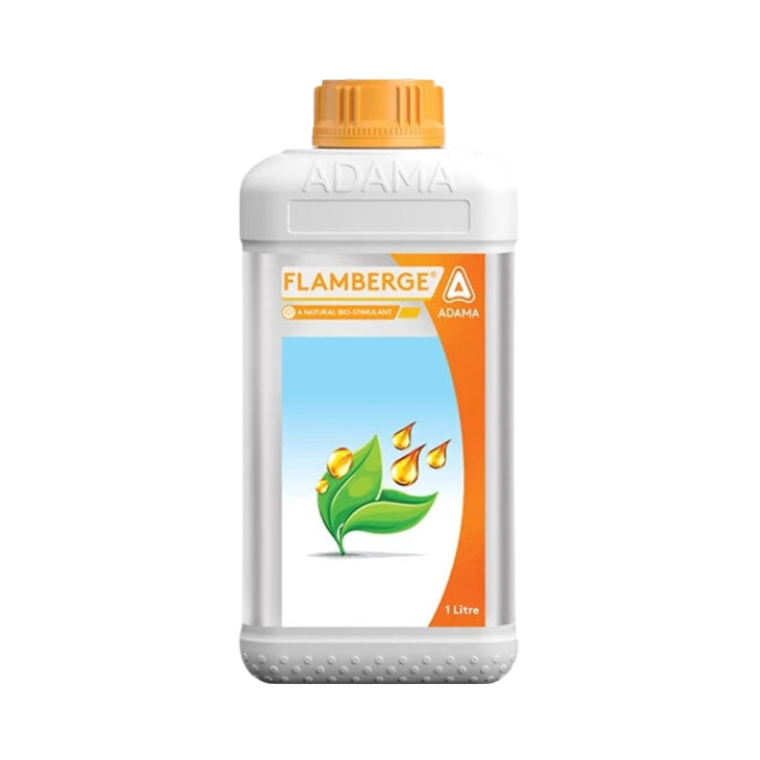 Flamberge - Adama | Buy Online at Best Price - DesiKheti