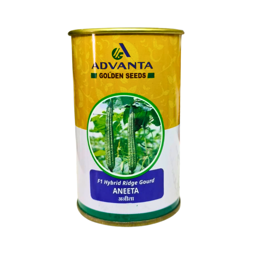 Aneeta Ridge Gourd Seeds - Advanta | F1 Hybrid | Buy Online at Best Price