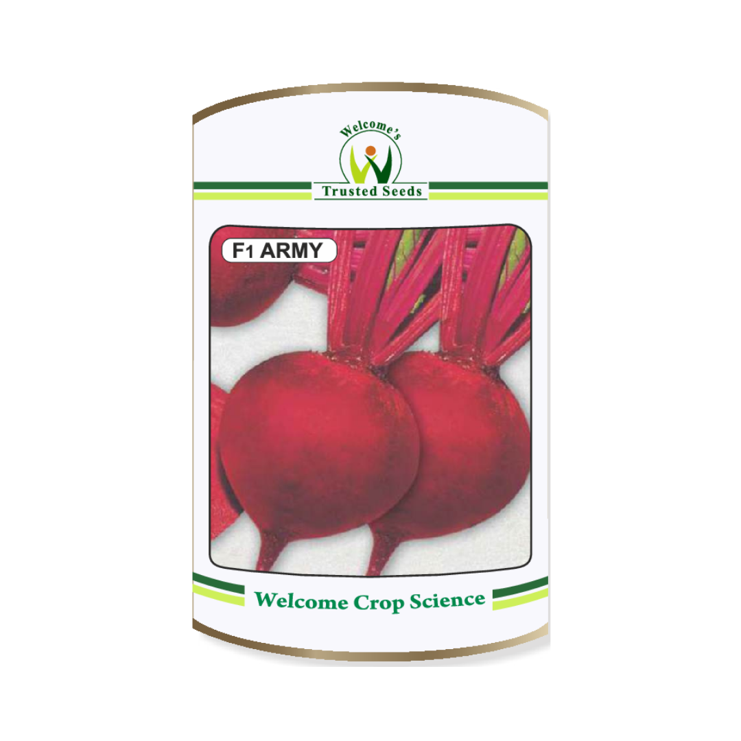 Army Beetroot Seeds - Welcome Seeds | F1 Hybrid | Buy Online Now