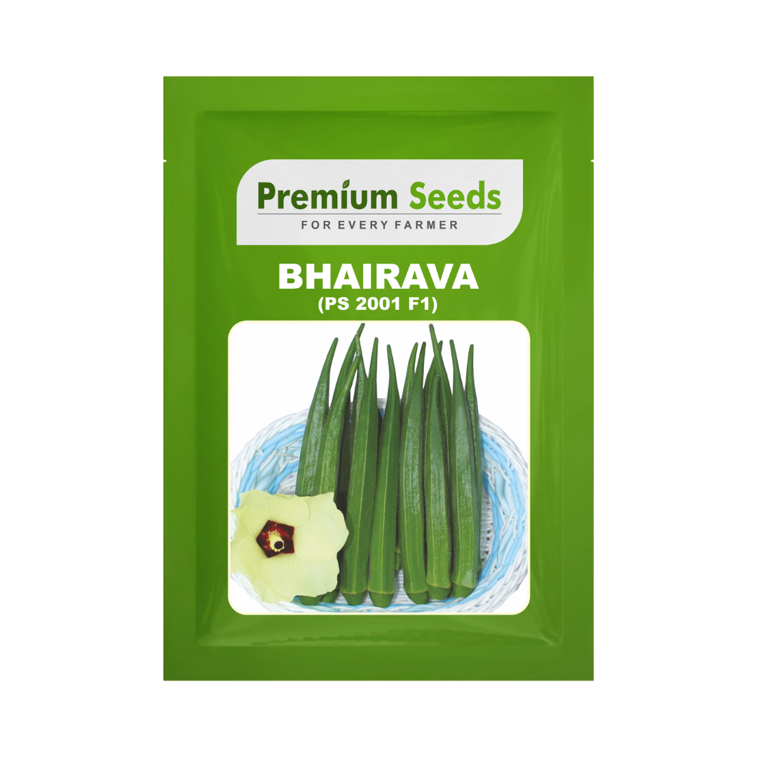 Bhairava Bhendi Seeds - Premium | F1 Hybrid | Buy Now at Best Price