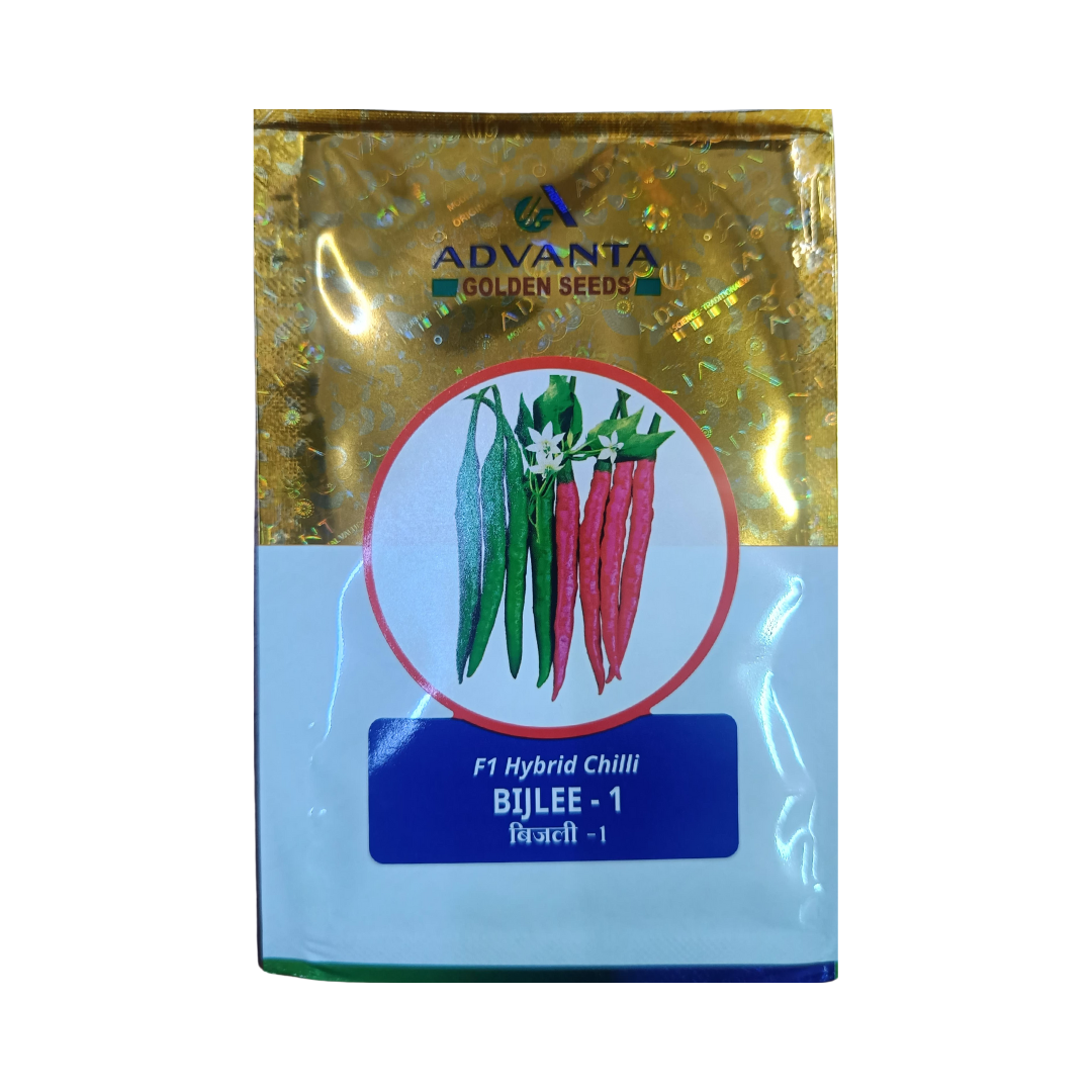 Bijlee-1 Chilli Seeds - Advanta | F1 Hybrid | Buy Online at Best Price