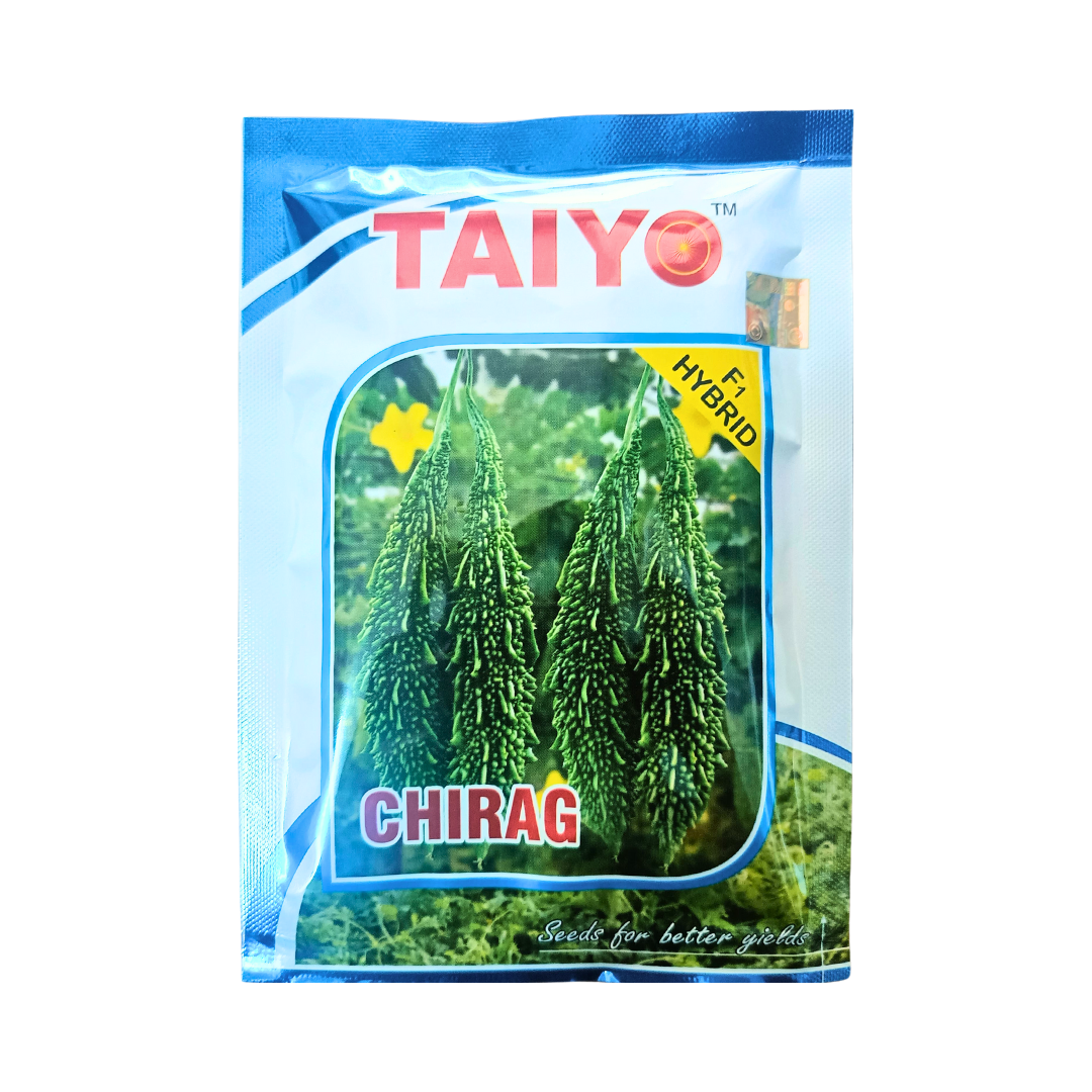 Chirag Bitter Gourd Seeds - Taiyo | F1 Hybrid | Buy Online - DesiKheti