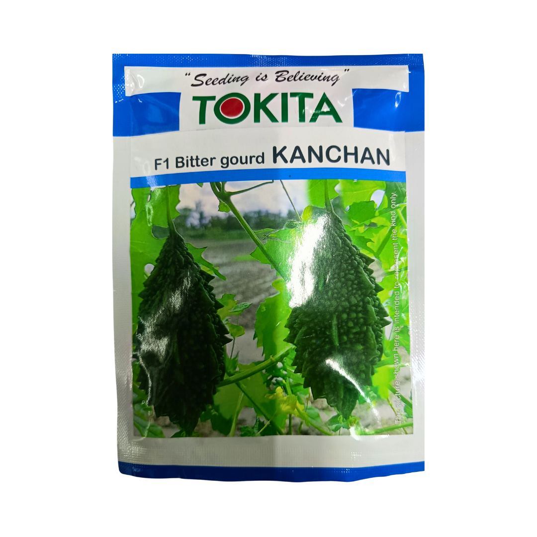 Kanchan Bitter Gourd Seeds - Tokita | F1 Hybrid | Buy Online Now