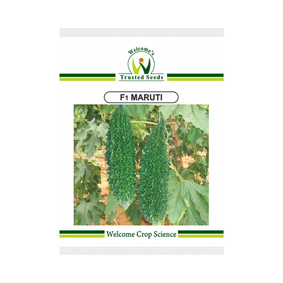 Maruthi Bitter Gourd Seeds - Welcome Seeds | F1 Hybrid | Buy Online