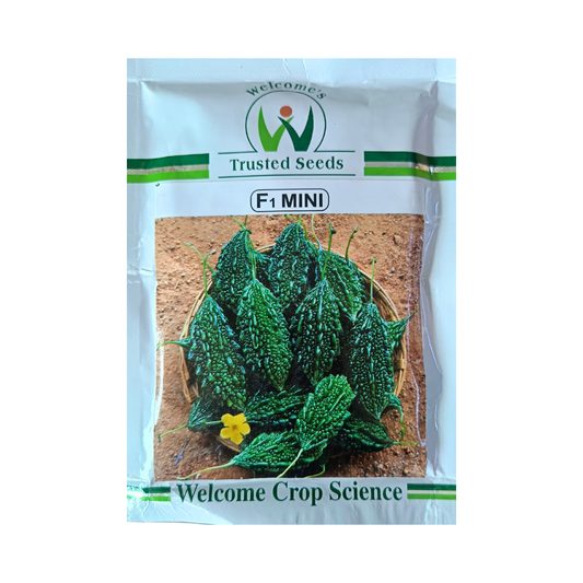 Mini Bitter Gourd Seeds - Welcome | Buy Online at Best Price Now