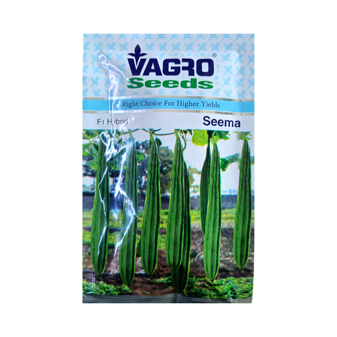 Seema Ridge Gourd Seeds - Vagro Seeds | Buy Online at Best Price Now