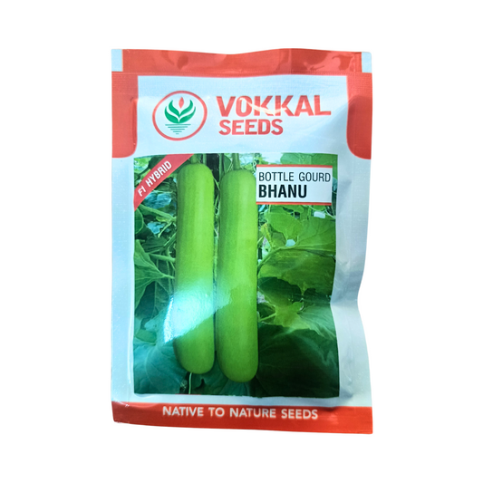 Bhanu Bottle Gourd Seeds - Vokkal Seeds | F1 Hybrid | Buy Online Now