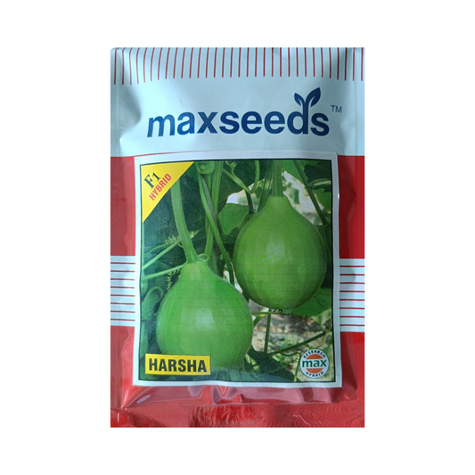 Bottle Gourd Seeds - Max | F1 Hybrid | Buy Online at Best Price