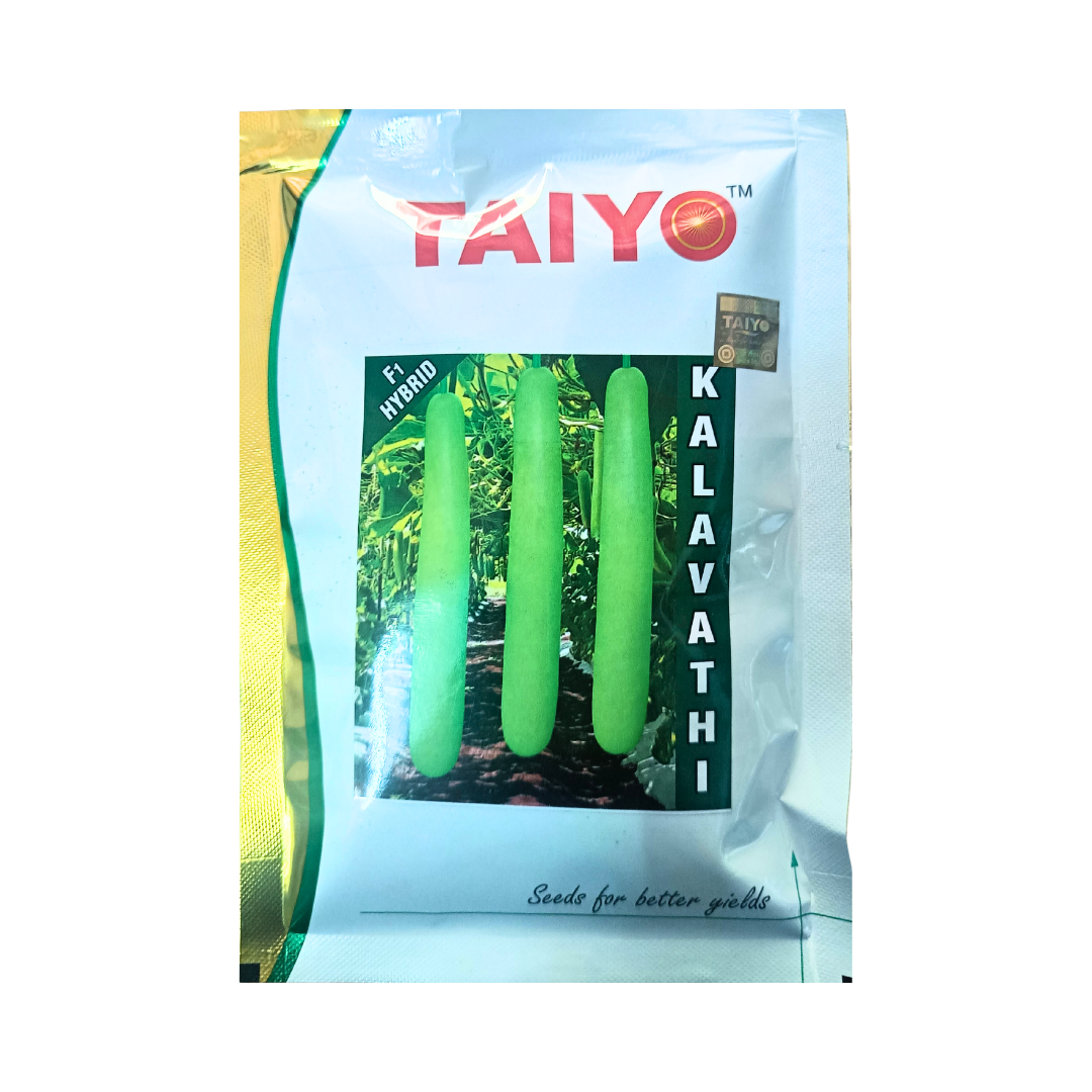 Kalavathi Bottle Gourd Seeds - Taiyo | F1 Hybrid | Buy Online Now