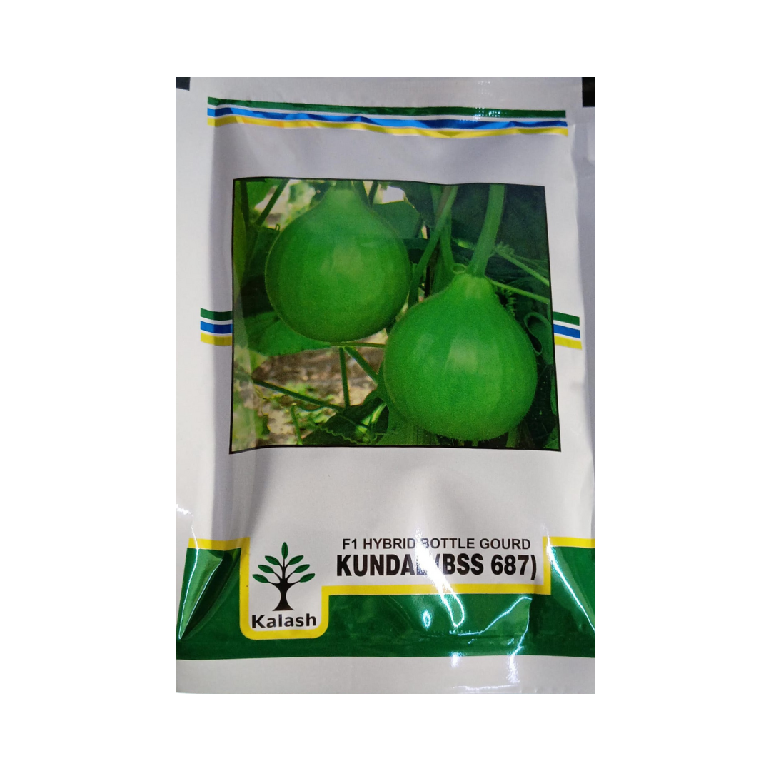 BSS - 687 Kundal Bottle Gourd Seeds - Kalash | F1 Hybrid | Buy Online at Best Price