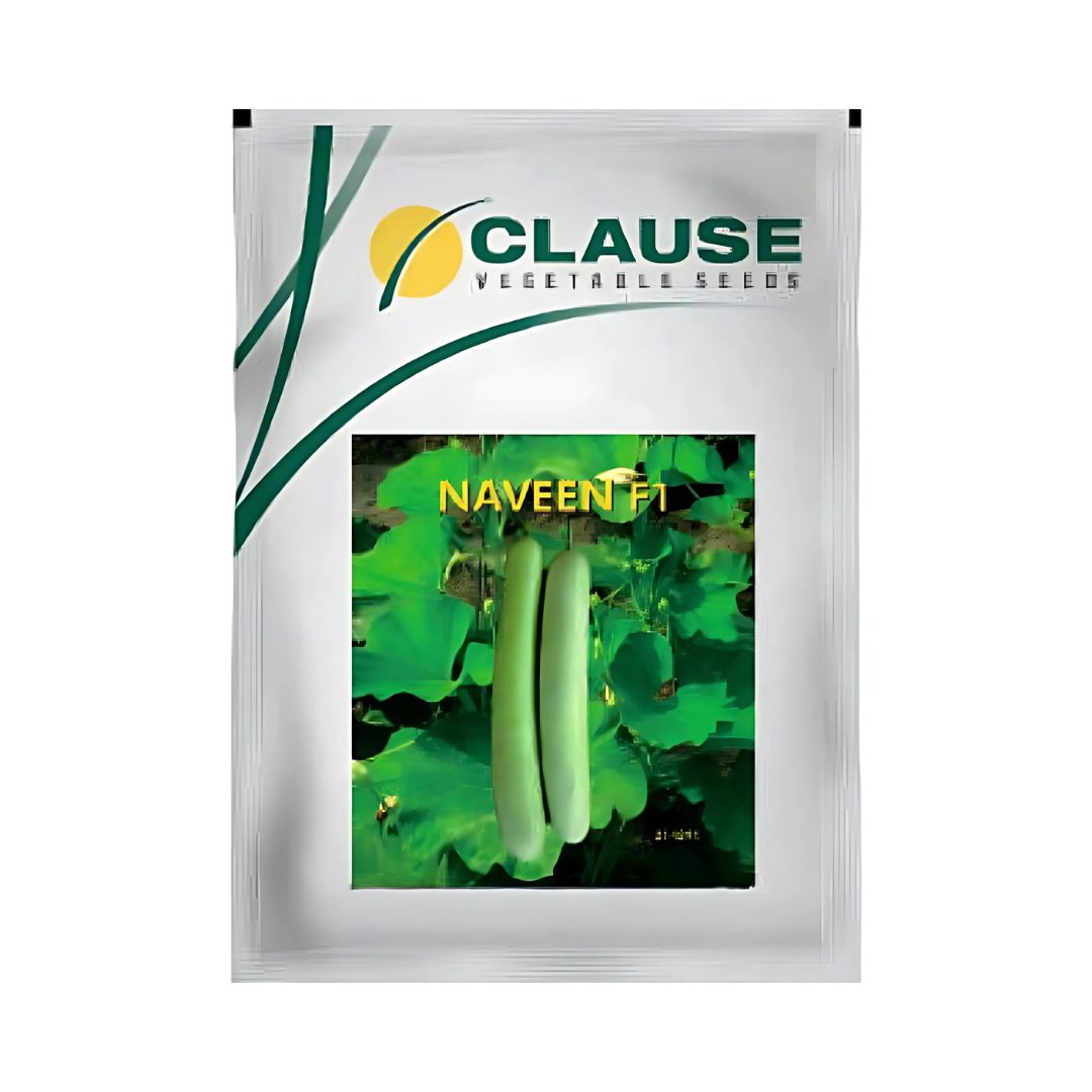 Naveen Bottle Gourd Seeds - HM Clause | F1 Hybrid | Buy Online Now