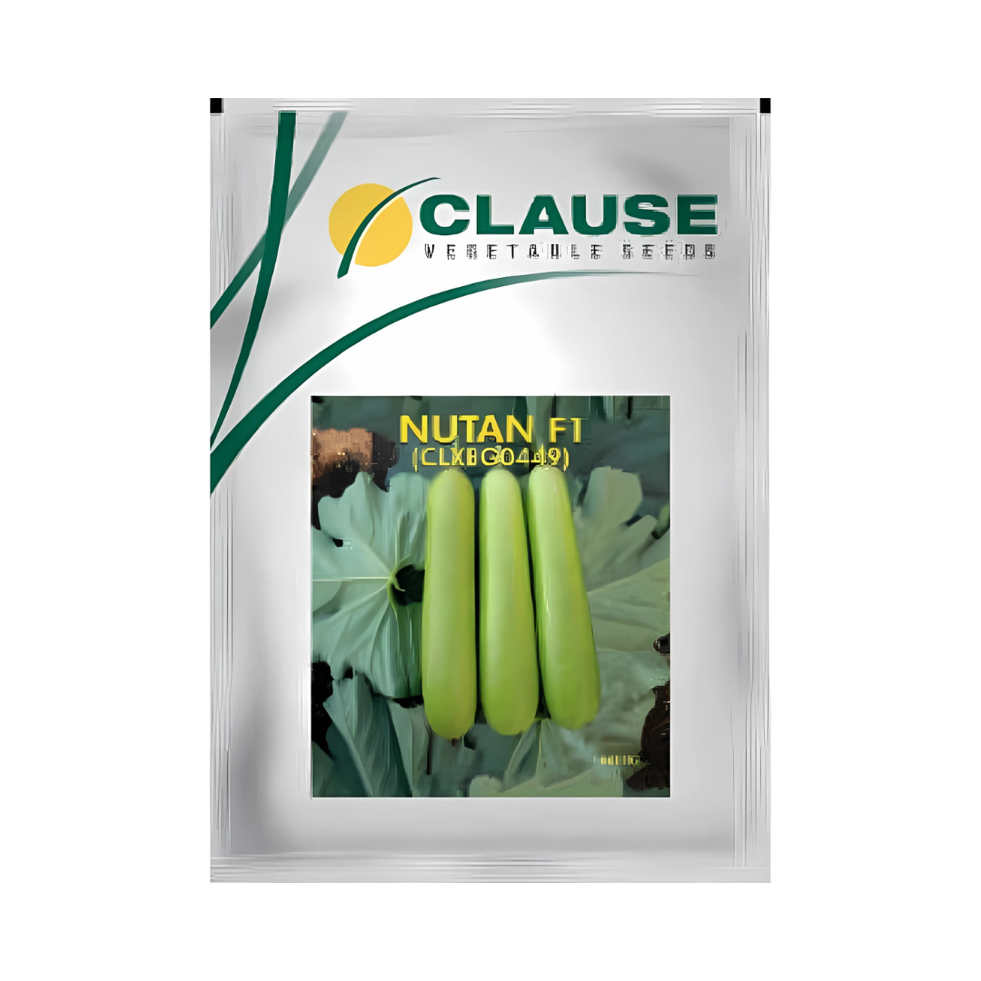 Nutan Bottle Gourd Seeds - HM Clause | F1 Hybrid | Buy Online Now