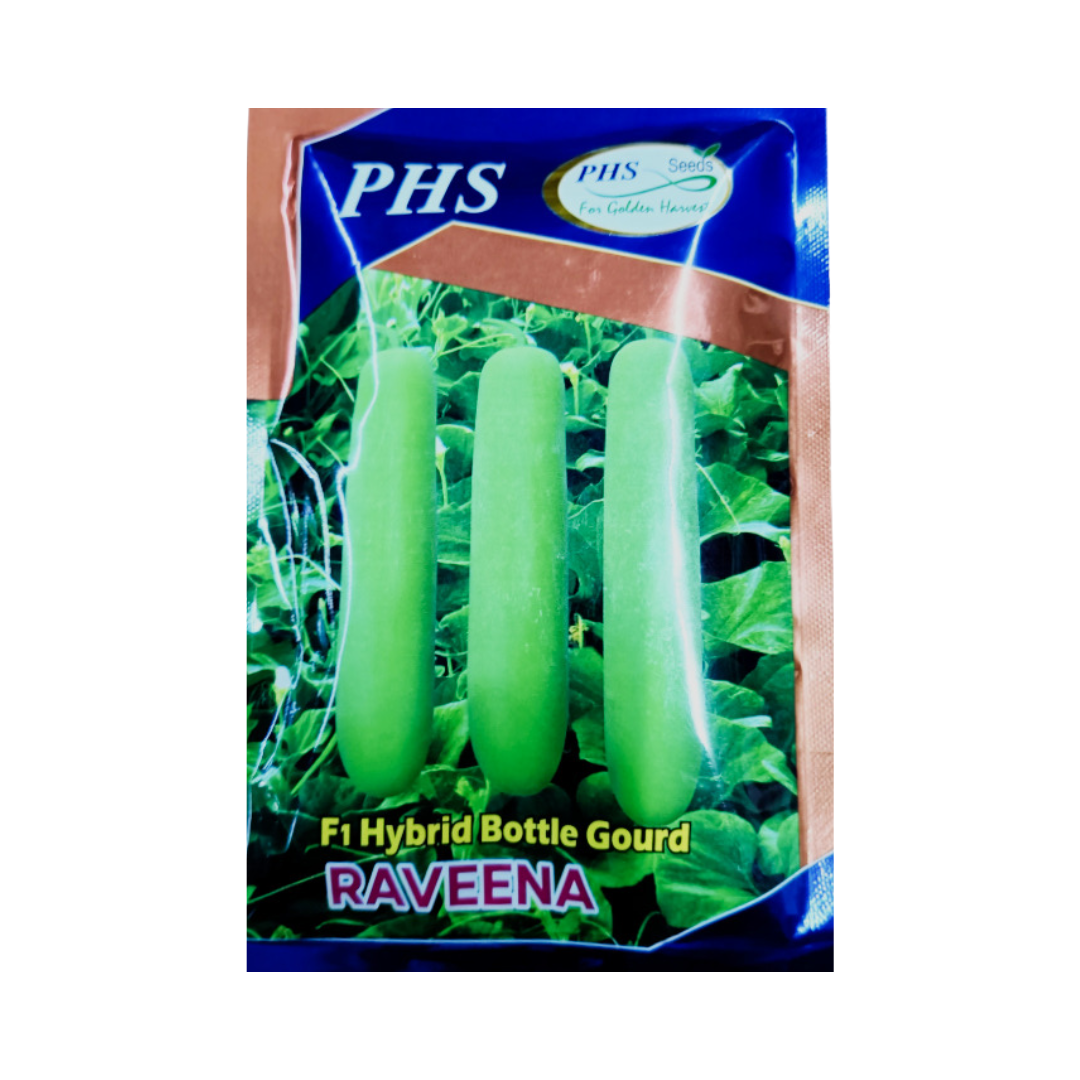 Raveena Bottle Gourd Seeds - PHS | F1 Hybrid | Buy Online - DesiKheti