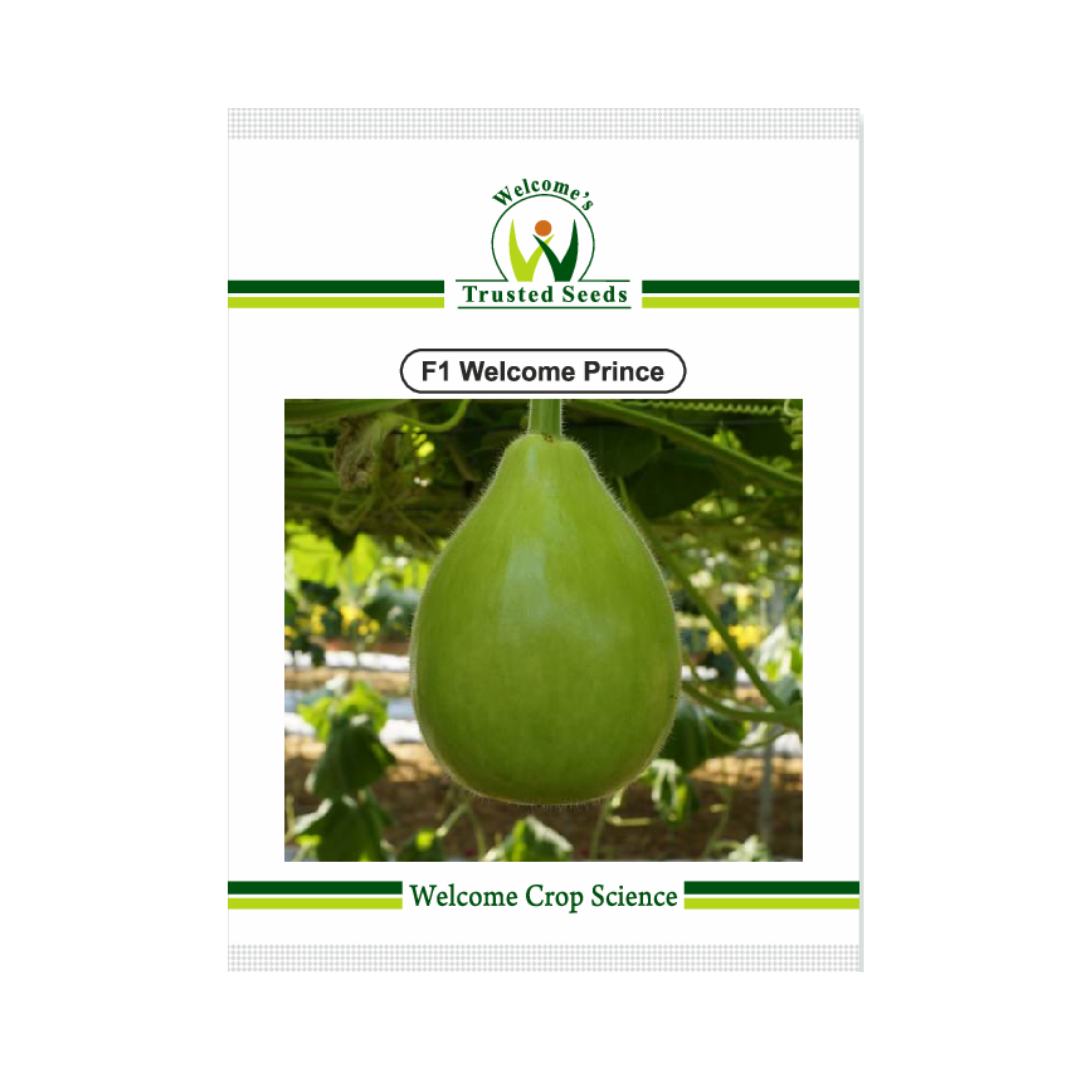 Welcome Prince Bottle Gourd Seeds | F1 Hybrid | Buy Online - DesiKheti