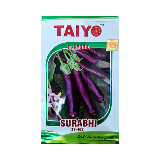 Surabhi Brinjal Seeds - Taiyo | F1 Hybrid | Buy Online Now - DesiKheti
