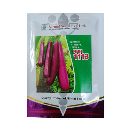 NBH 1113 Brinjal Seeds - Nirmal | F1 Hybrid | Buy Online - DesiKheti
