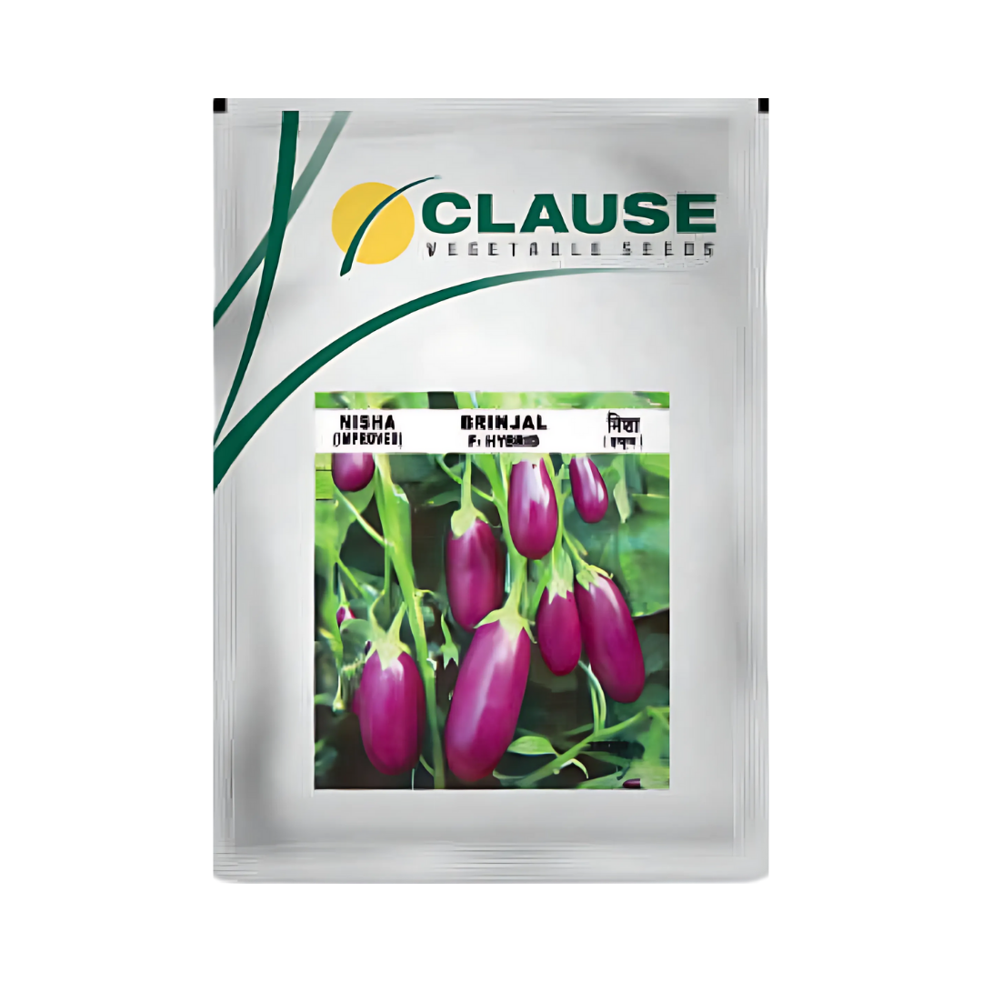 Nisha IMP Brinjal Seeds - HM Clause | F1 Hybrid | Buy Online Now