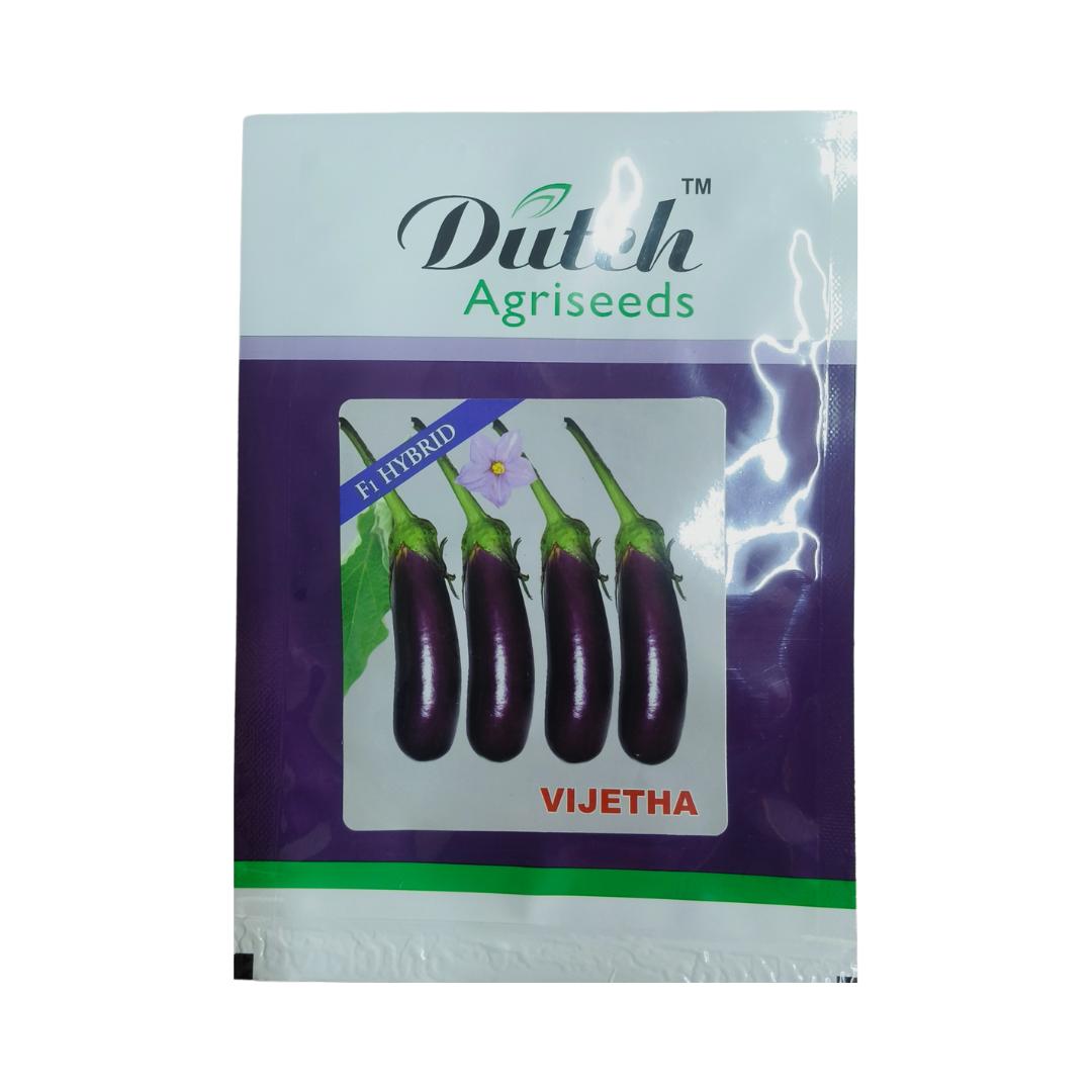 Vijetha Brinjal Seeds - Dutch Agriseeds | Buy Online at Best Price