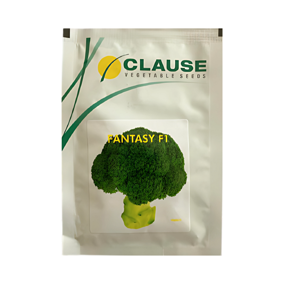 Fantasy Broccoli Seeds