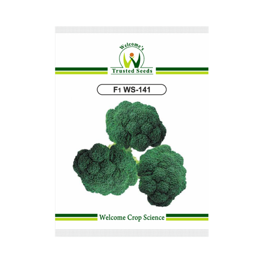 WS 141 Broccoli Seeds - Welcome Seeds | F1 Hybrid | Buy Online Now