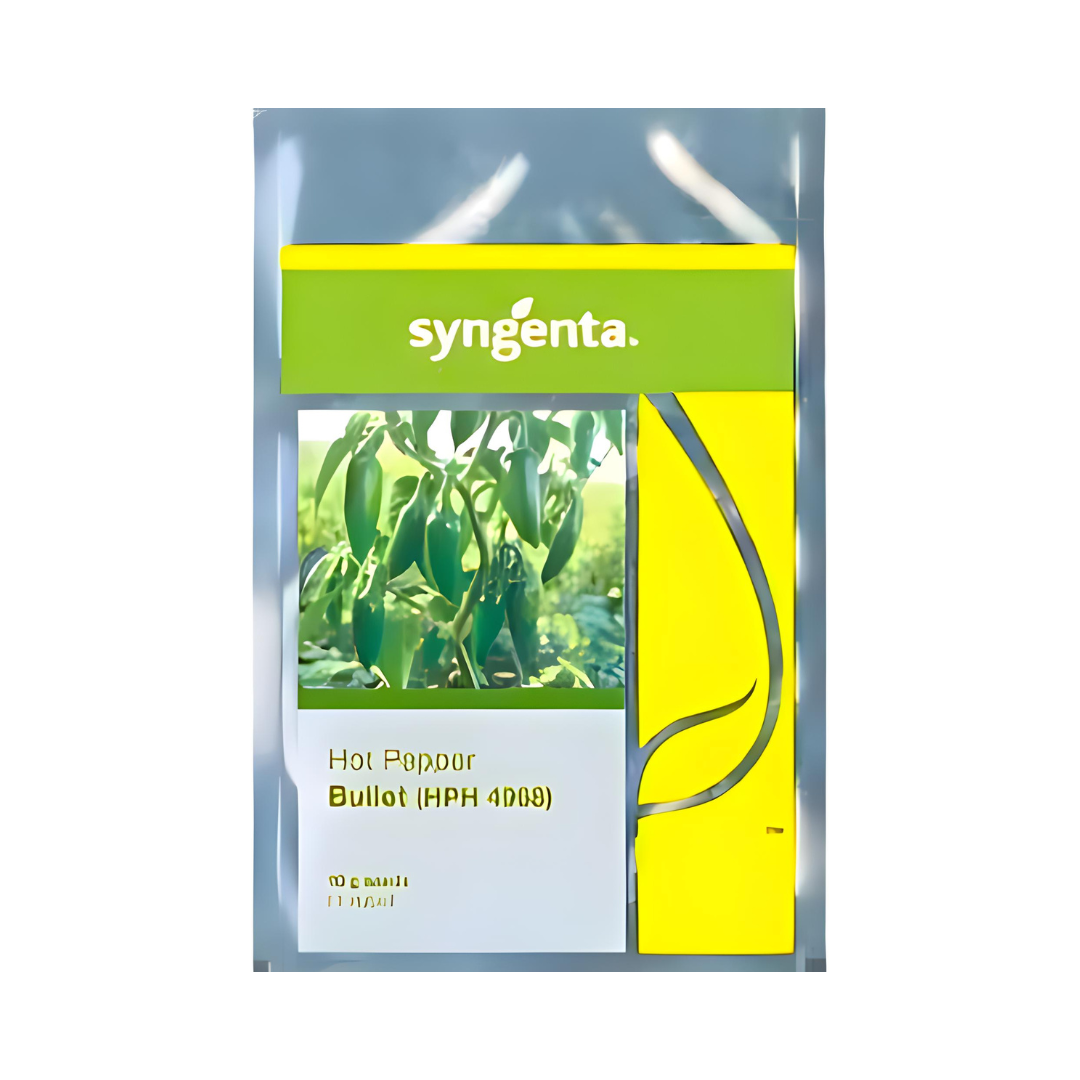 Bullet HPH 4968 Chilli Seeds - Syngenta | F1 Hybrid | Buy Online at Best Price