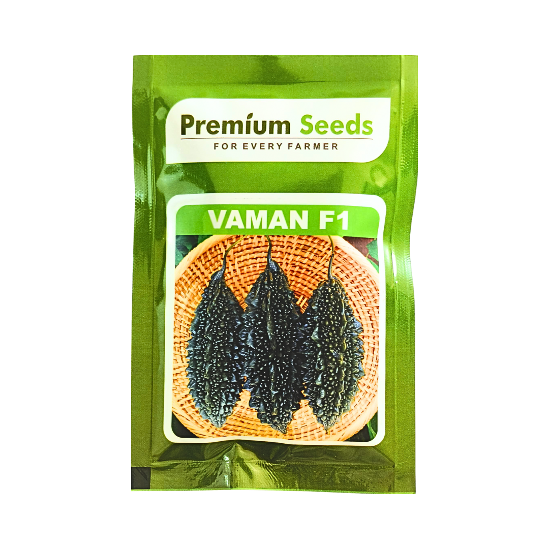 Vaman Bitter Gourd Seeds - Premium Seeds | Buy Online at Best Price