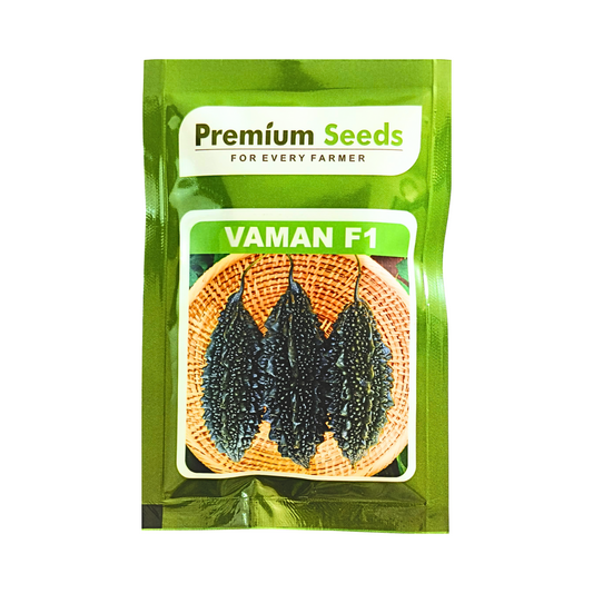 Vaman Bitter Gourd Seeds - Premium Seeds | Buy Online at Best Price