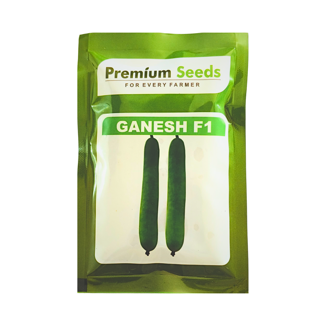 Ganesh Bottle Gourd Seeds - Premium Seeds | Buy Online at Best Price