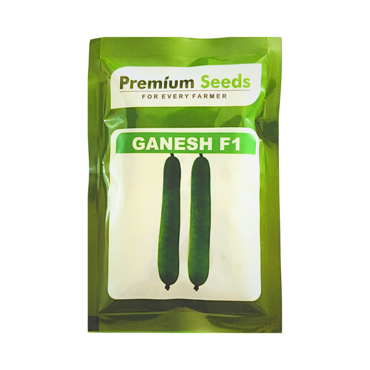 Ganesh Bottle Gourd Seeds - Premium Seeds | Buy Online at Best Price