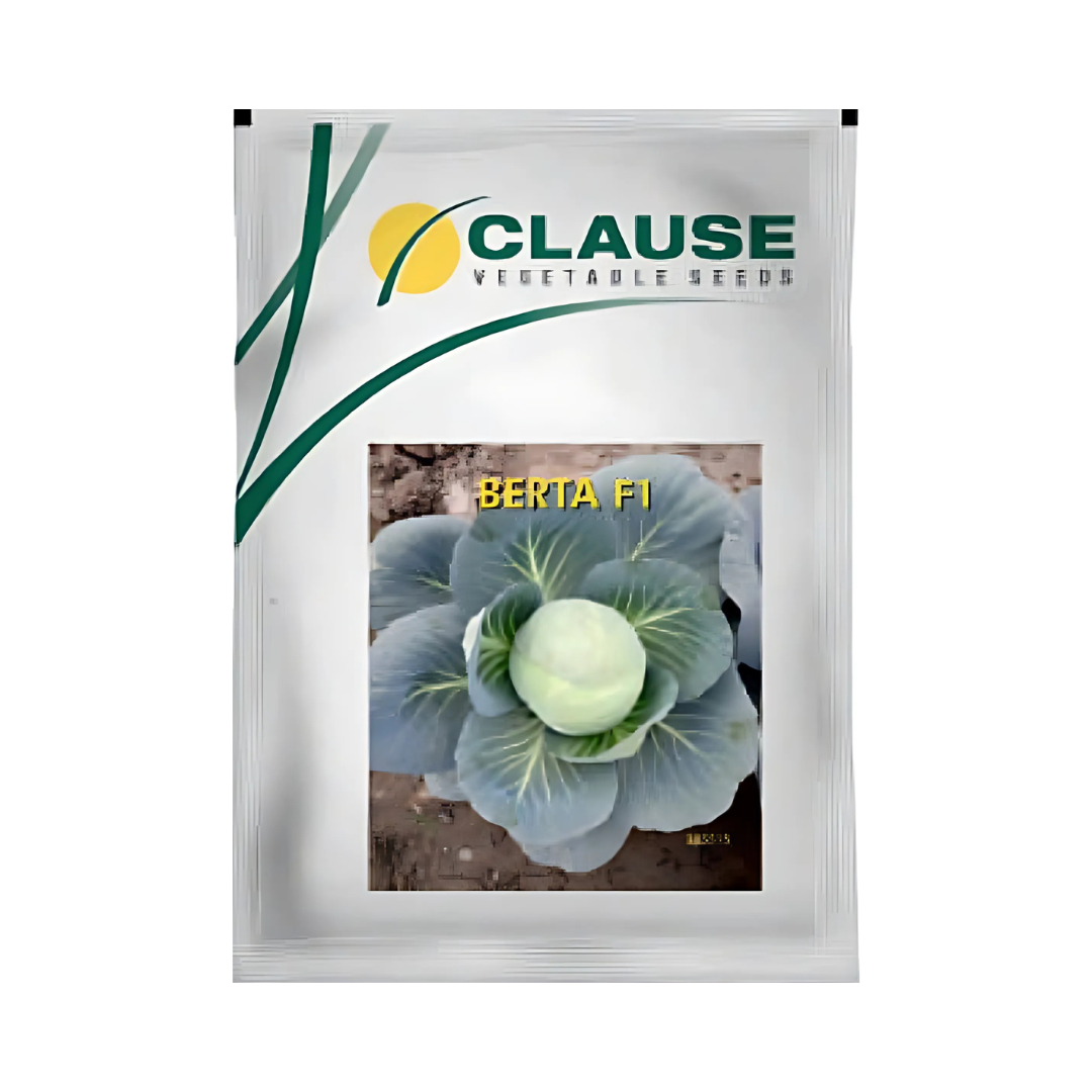 Berta Cabbage Seeds - HM Clause| F1 Hybrid | Buy Online - DesiKheti