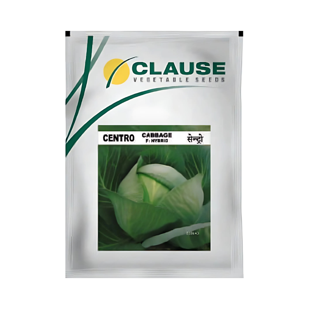 Centro Cabbage Seeds - HM Clause| F1 Hybrid | Buy Online - DesiKheti