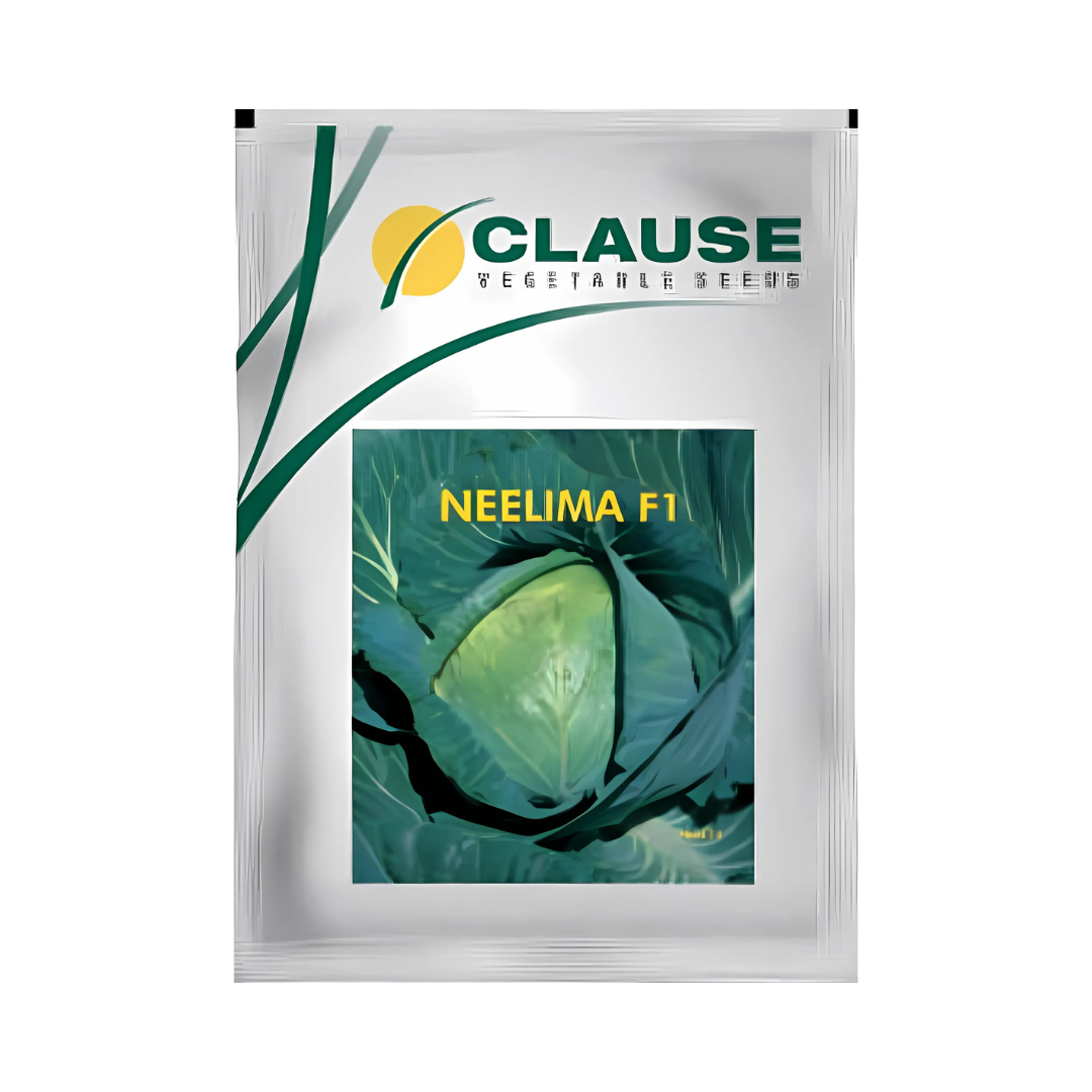 Neelima Cabbage Seeds - HM Clause| F1 Hybrid | Buy Online - DesiKheti