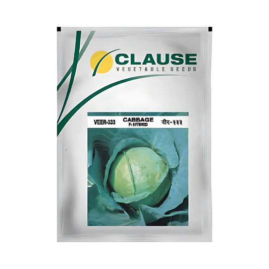 Veer-333 Cabbage Seeds - HM Clause| F1 Hybrid | Buy Online - DesiKheti