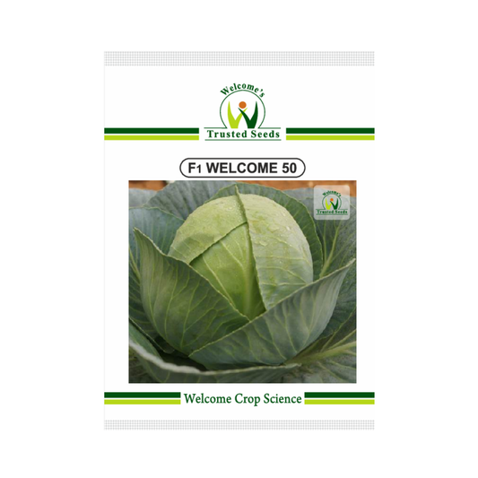 Welcome 50 Cabbage Seeds - Welcome | F1 Hybrid | Buy Online Now