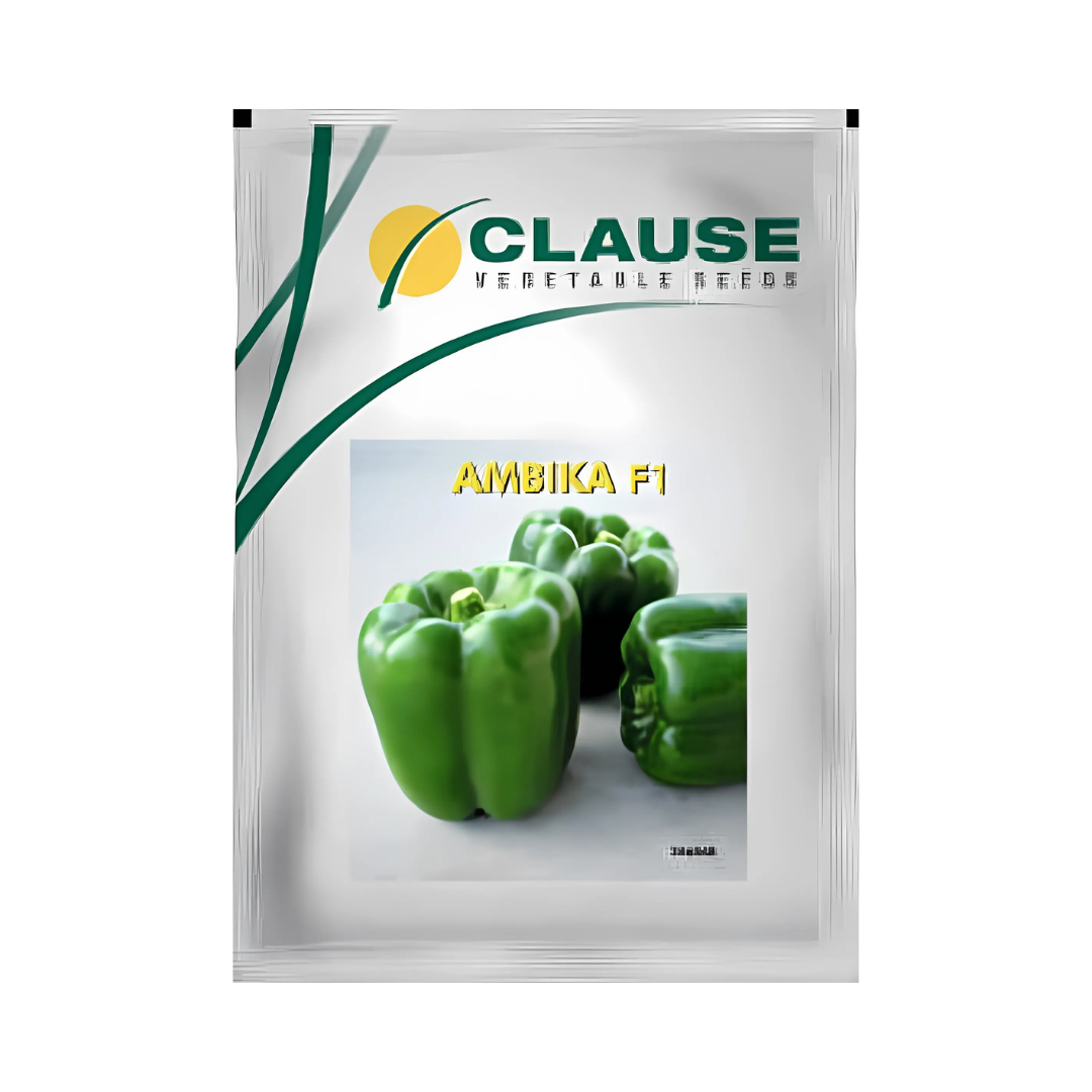 Ambika Capsicum Seeds - HM Clause | F1 Hybrid | Buy Online at Best Price